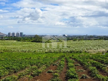 Agricultural Land