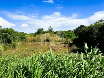 Residential Land