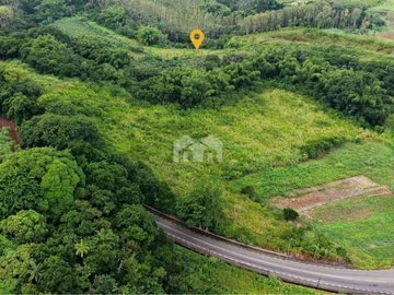 Agricultural Land