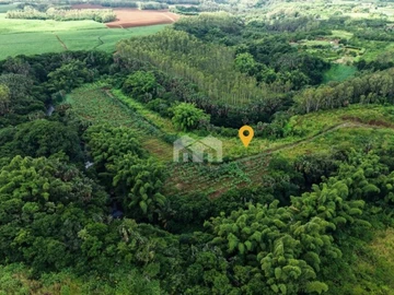 Agricultural Land
