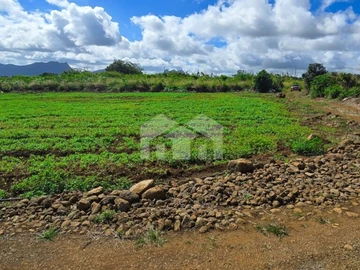 Agricultural Land