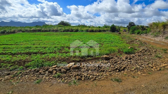 Agricultural plot of land