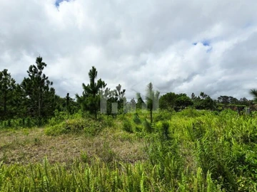 Residential Land