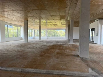 Commercial Property
