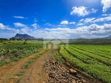 Agricultural Land