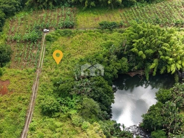 Agricultural Land
